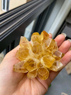 6 Pcs Natural Crystal Cluster Set | Full Theme Healing Crystals For Health Wealth Protection Love Spiritual Meditation Career Growth Home Decor & Gift