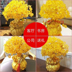Yellow Crystal Money Tree